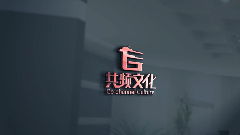 广州本地公关传播案例：深度解析与对比