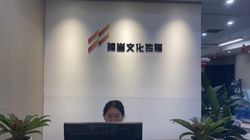 文化传媒营业执照办理：常见问题解析**