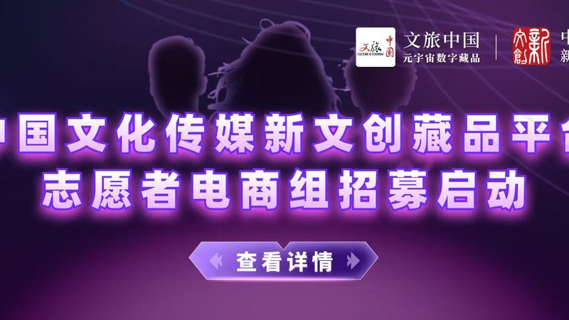 影视制作镜头语言规范：揭秘镜头背后的艺术奥秘